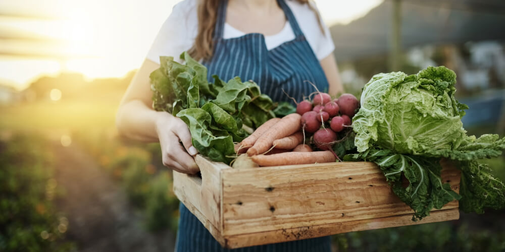4 Tips para conservar frutas y verduras frescas